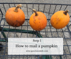 Step 1 - How to mail a pumpkin