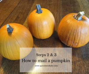 Steps 2 & 3 - how to mail a pumpkin